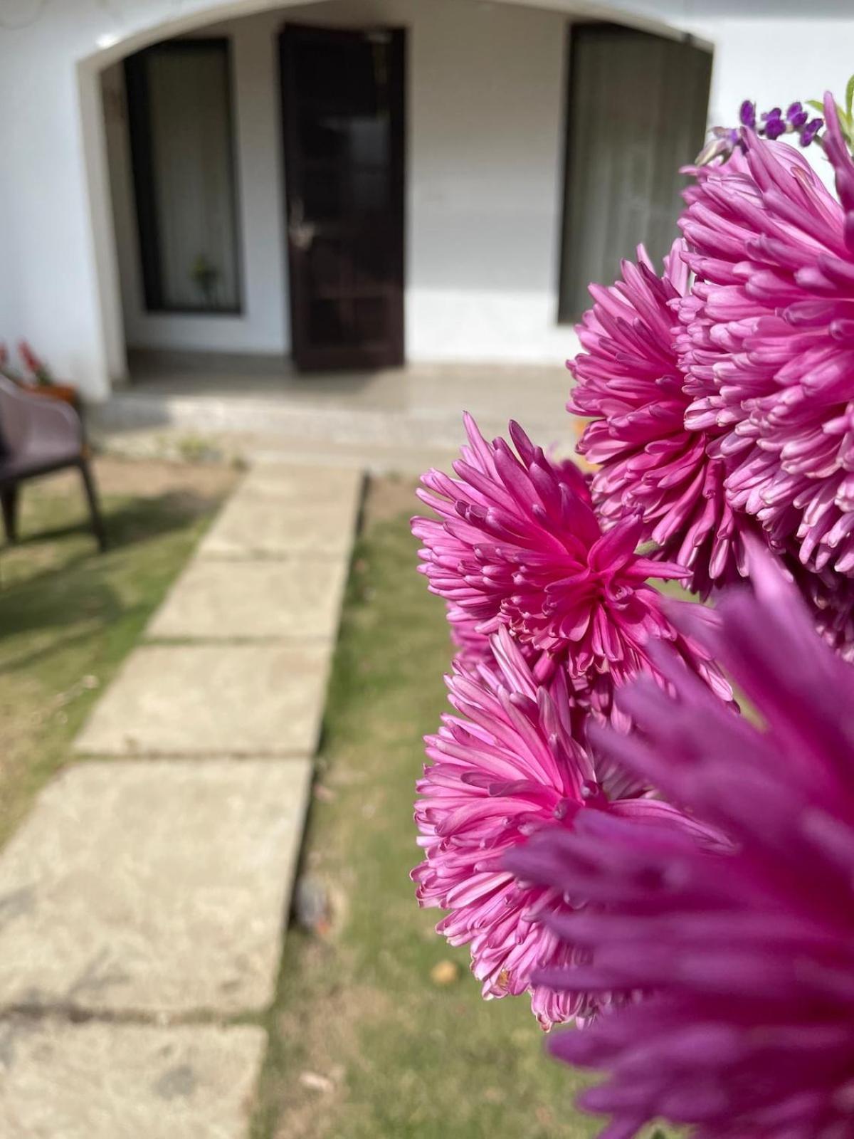 Kafal Tree Home Stay - Pet Friendly Bhowali Buitenkant foto